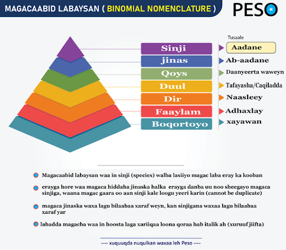 306516315 518547950001529 5147053866056728894 n